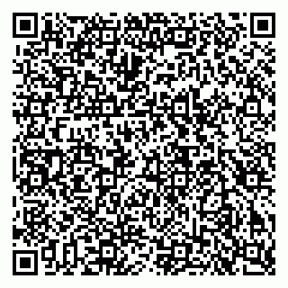 vCard 79503006133