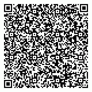 vCard 79503006539
