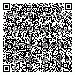 vCard 79503007800