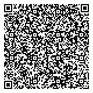 vCard 79503008039