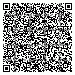 vCard 79503008739