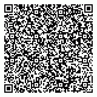 vCard 79503009039