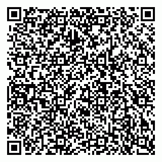 vCard 79503010539