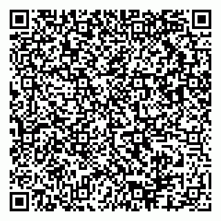 vCard 79503011739