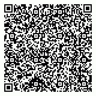vCard 79503012739