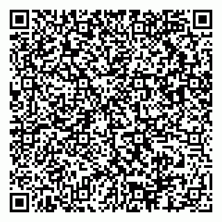 vCard 79503012939