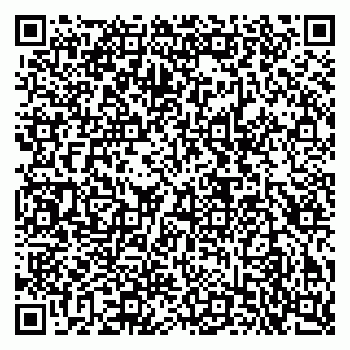 vCard 79503013539