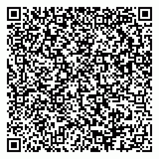 vCard 79503013839
