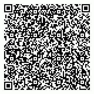 vCard 79503017539