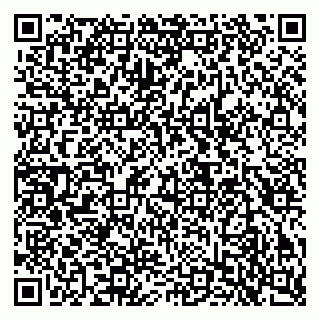 vCard 79503017739