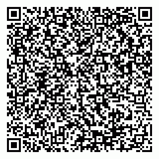 vCard 79503018539