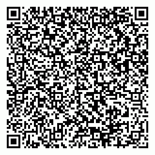 vCard 79503018739
