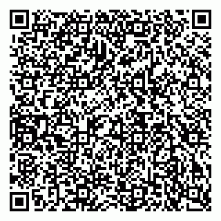 vCard 79503019539