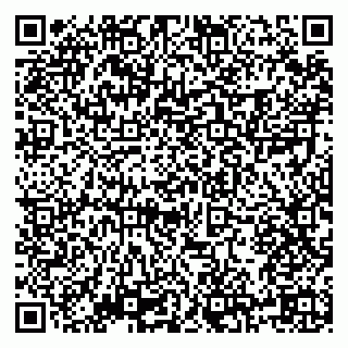 vCard 79504000173