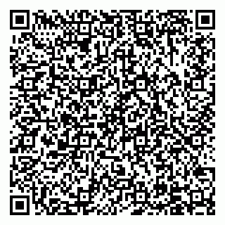 vCard 79504000399