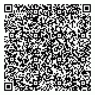 vCard 79504002131