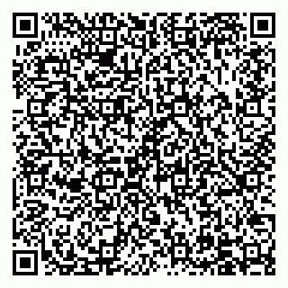 vCard 79504003333