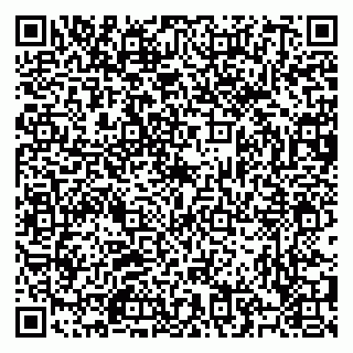 vCard 79504847333