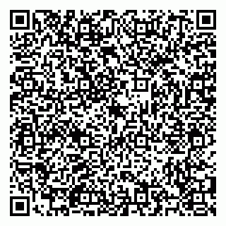 vCard 79504847381