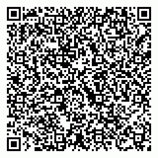 vCard 79504980293