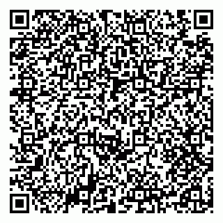 vCard 79504980378