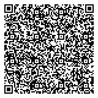 vCard 79504980403