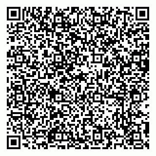 vCard 79504987833