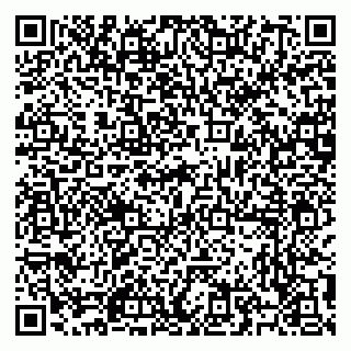 vCard 79504987879