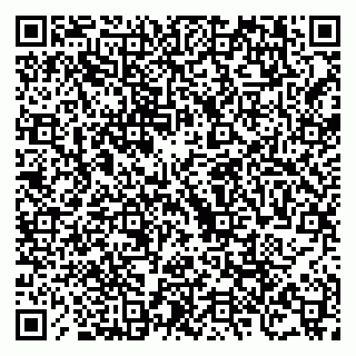 vCard 79504987893