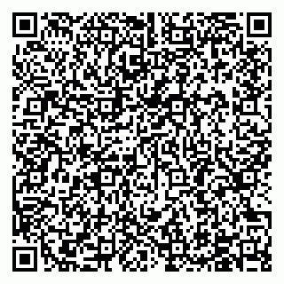 vCard 79504987900