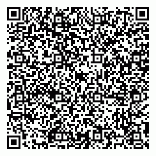 vCard 79504987908
