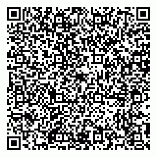 vCard 79504987913