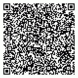 vCard 79504987921