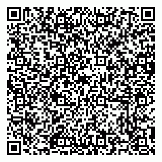 vCard 79504987931
