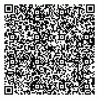 vCard 79504987933