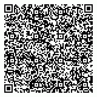 vCard 79504988003