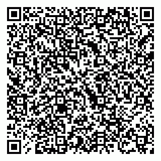 vCard 79504988038