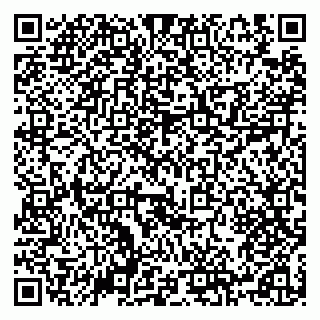 vCard 79504988133