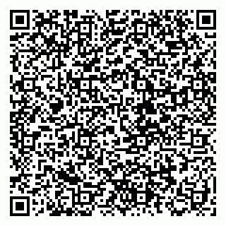 vCard 79504988145
