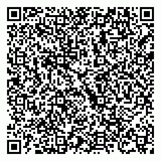 vCard 79504988163