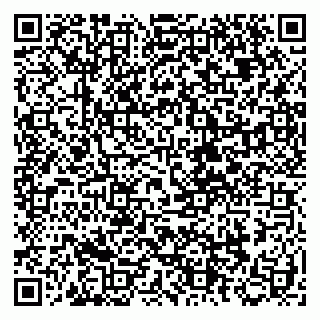 vCard 79504988173