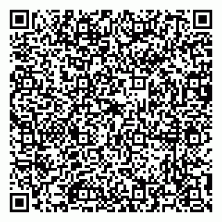 vCard 79504994331
