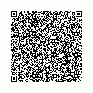 vCard 79505000293