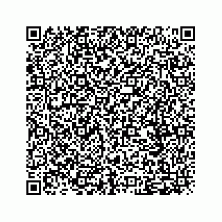 vCard 79505000294