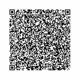 vCard 79505011039
