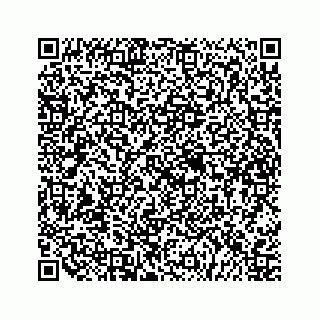 vCard 79505013133