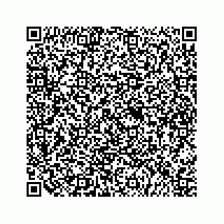 vCard 79505013173
