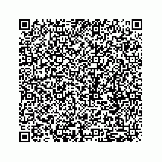 vCard 79505013184