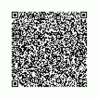 vCard 79505013204