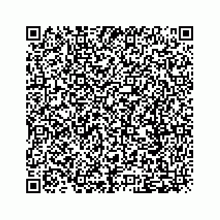 vCard 79505013206